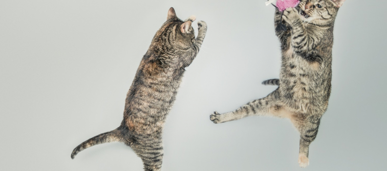 How to Cheat at Networking, and Get Away With It