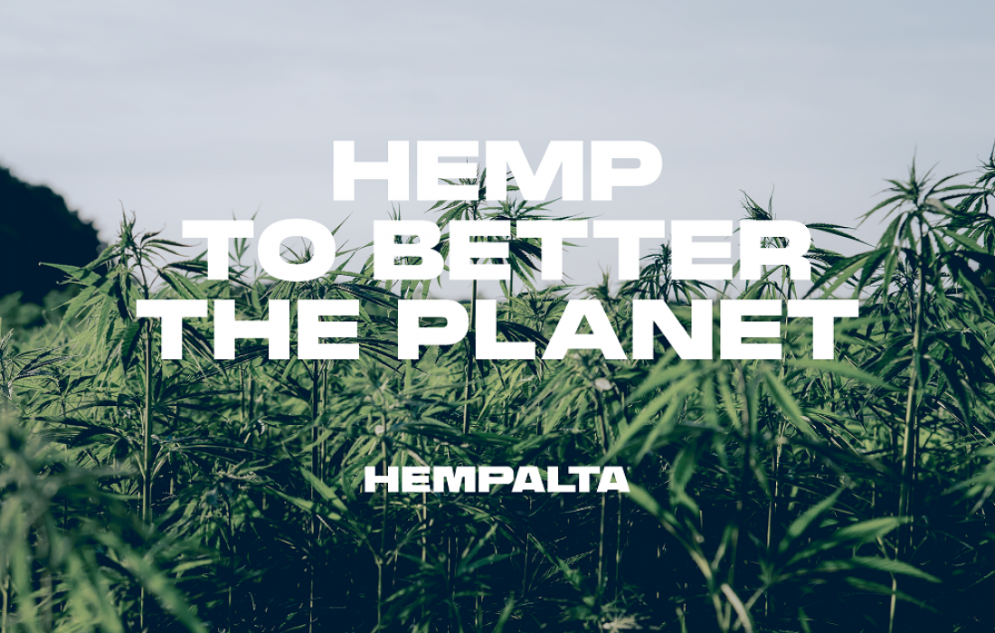 HEMPALTA: Brand Building